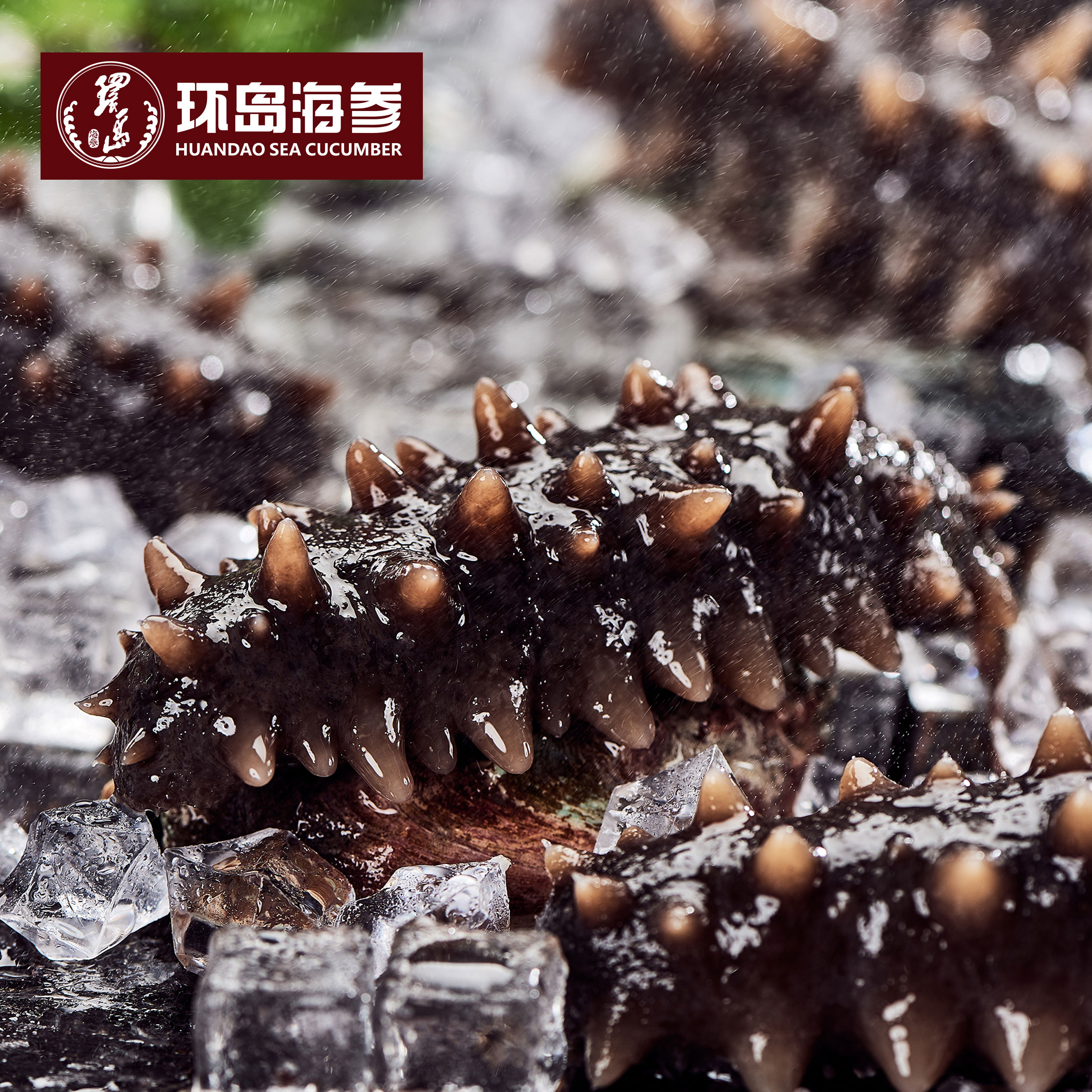 8827̫������(Macau)�ɷ����޹�˾-Official website