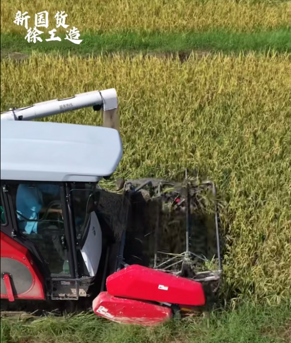 【稻花香里说丰年，，，，，听取蛙声一片】